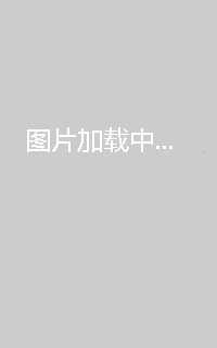 10月8日25-26赛季NBA季前赛森林狼VS步行者